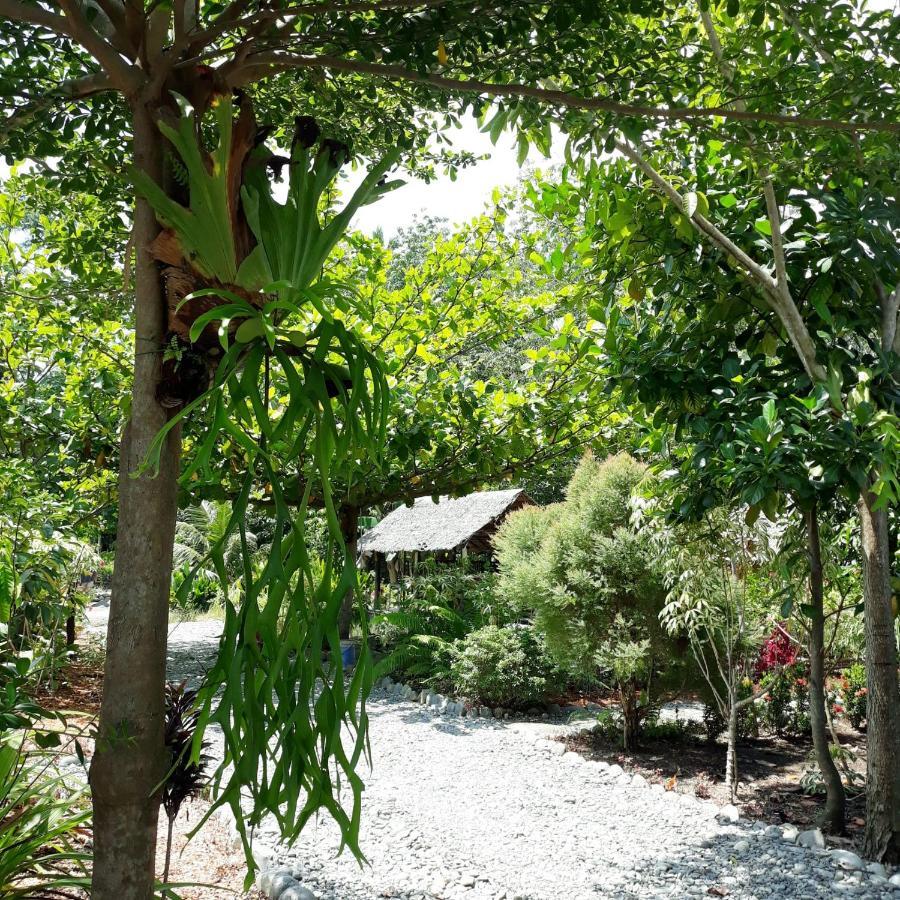 Magpie Homestay & Jungle Trekking Especially For Guest Trekking With Us Bukit Lawang Buitenkant foto