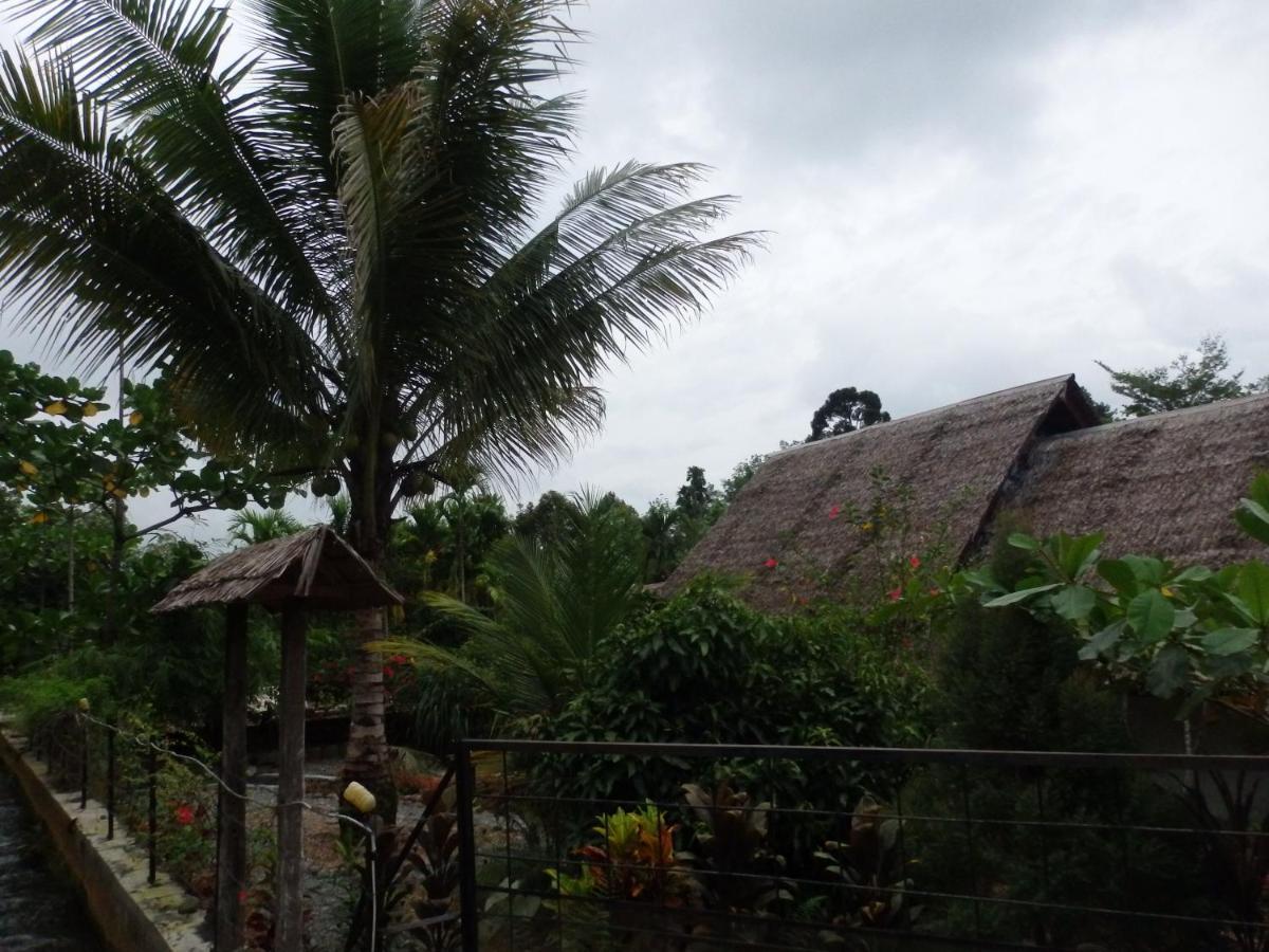 Magpie Homestay & Jungle Trekking Especially For Guest Trekking With Us Bukit Lawang Buitenkant foto