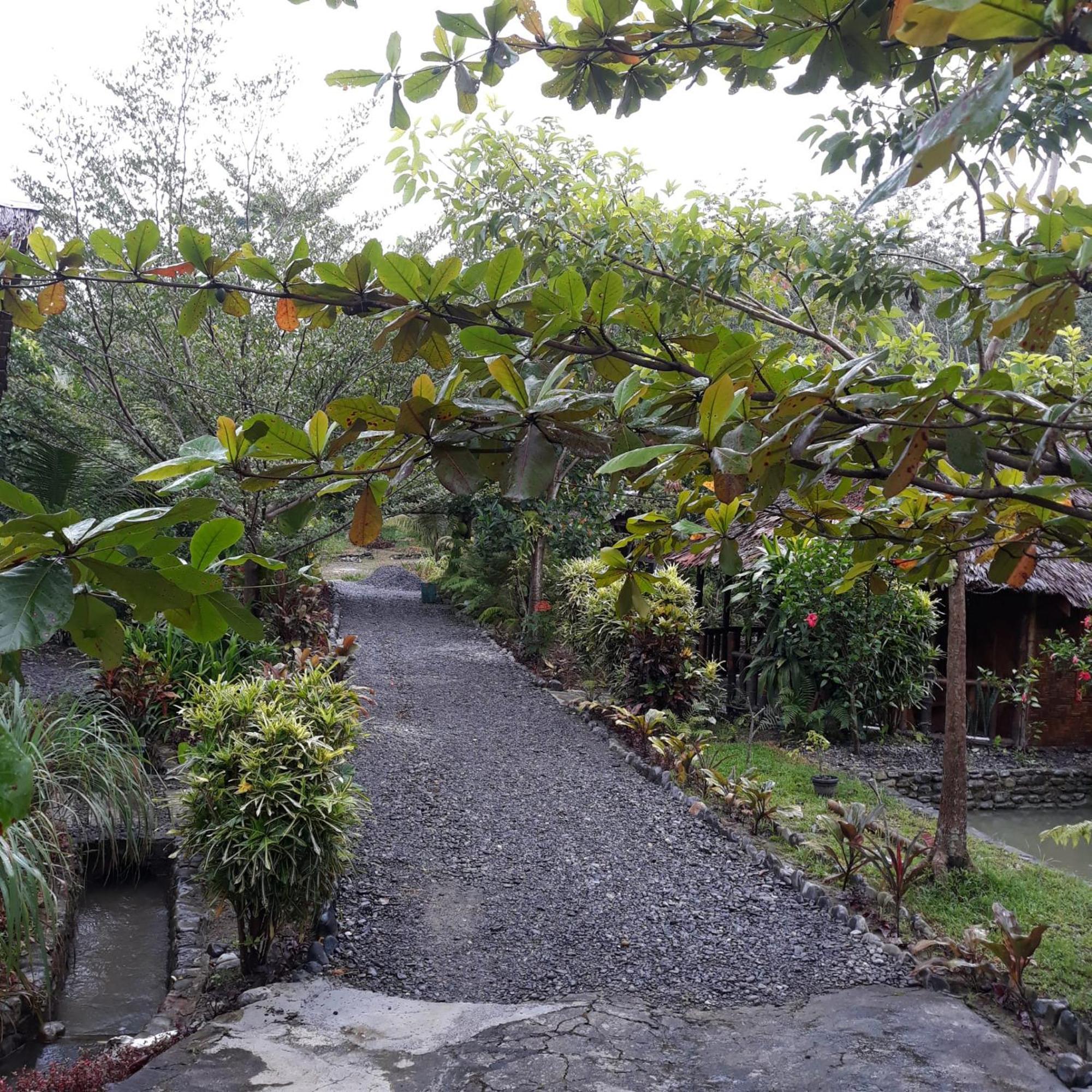 Magpie Homestay & Jungle Trekking Especially For Guest Trekking With Us Bukit Lawang Kamer foto