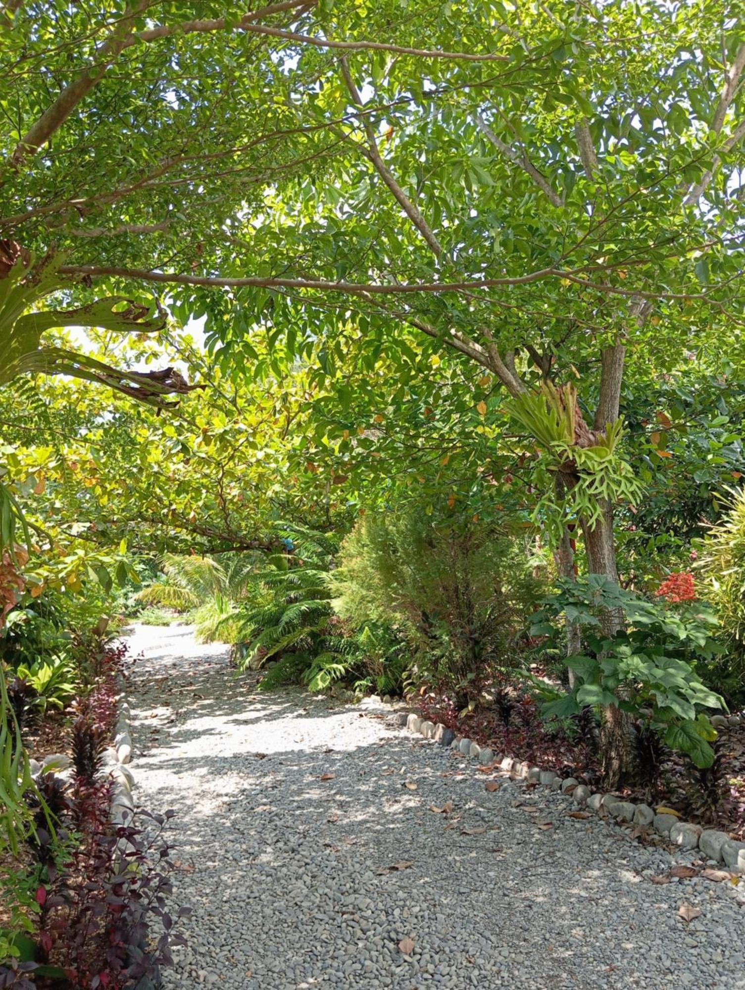 Magpie Homestay & Jungle Trekking Especially For Guest Trekking With Us Bukit Lawang Buitenkant foto