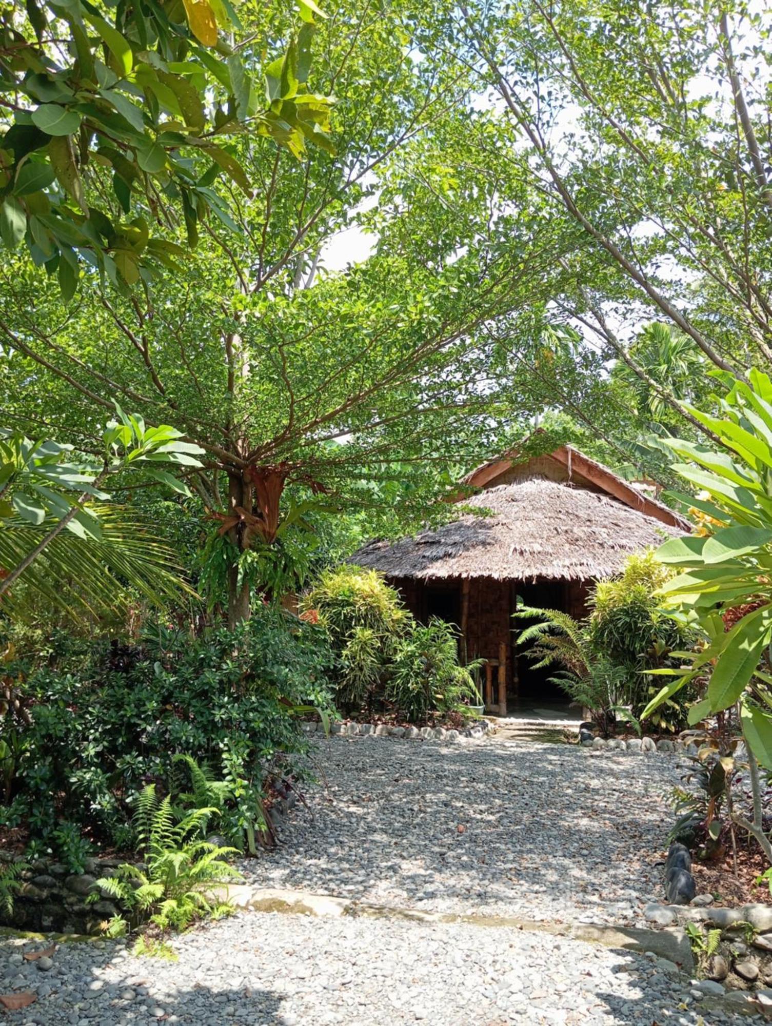 Magpie Homestay & Jungle Trekking Especially For Guest Trekking With Us Bukit Lawang Buitenkant foto