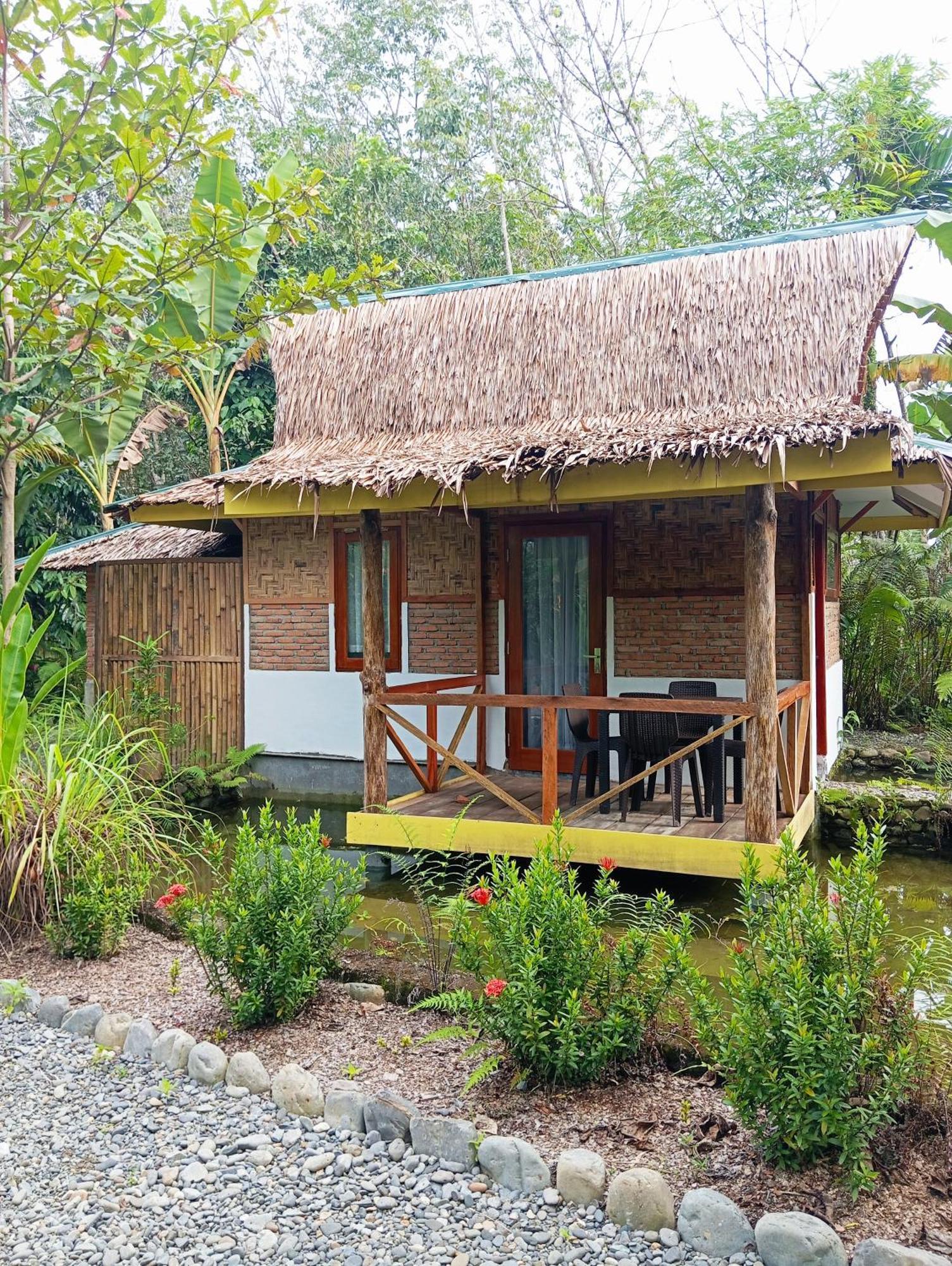 Magpie Homestay & Jungle Trekking Especially For Guest Trekking With Us Bukit Lawang Buitenkant foto