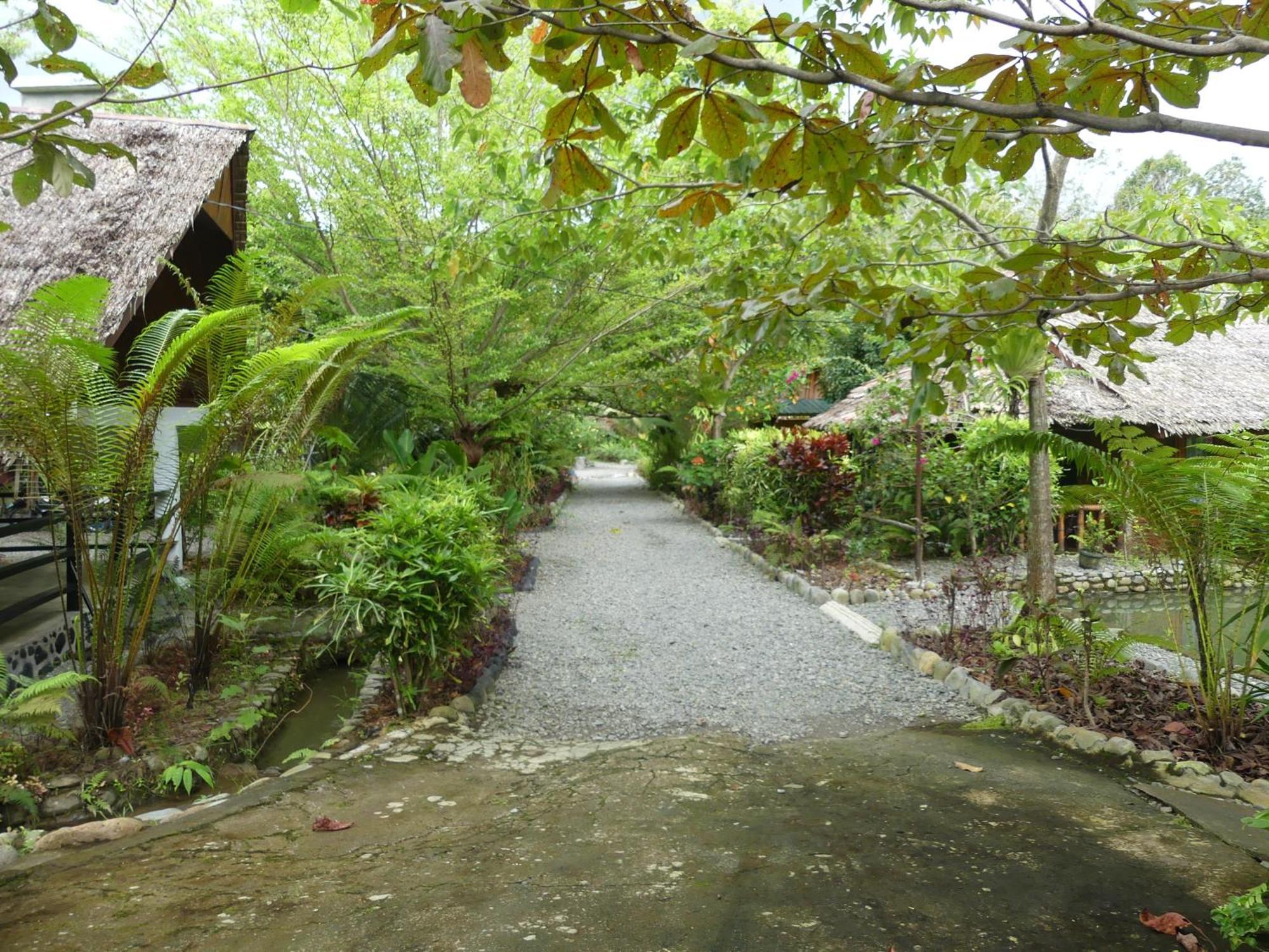 Magpie Homestay & Jungle Trekking Especially For Guest Trekking With Us Bukit Lawang Buitenkant foto
