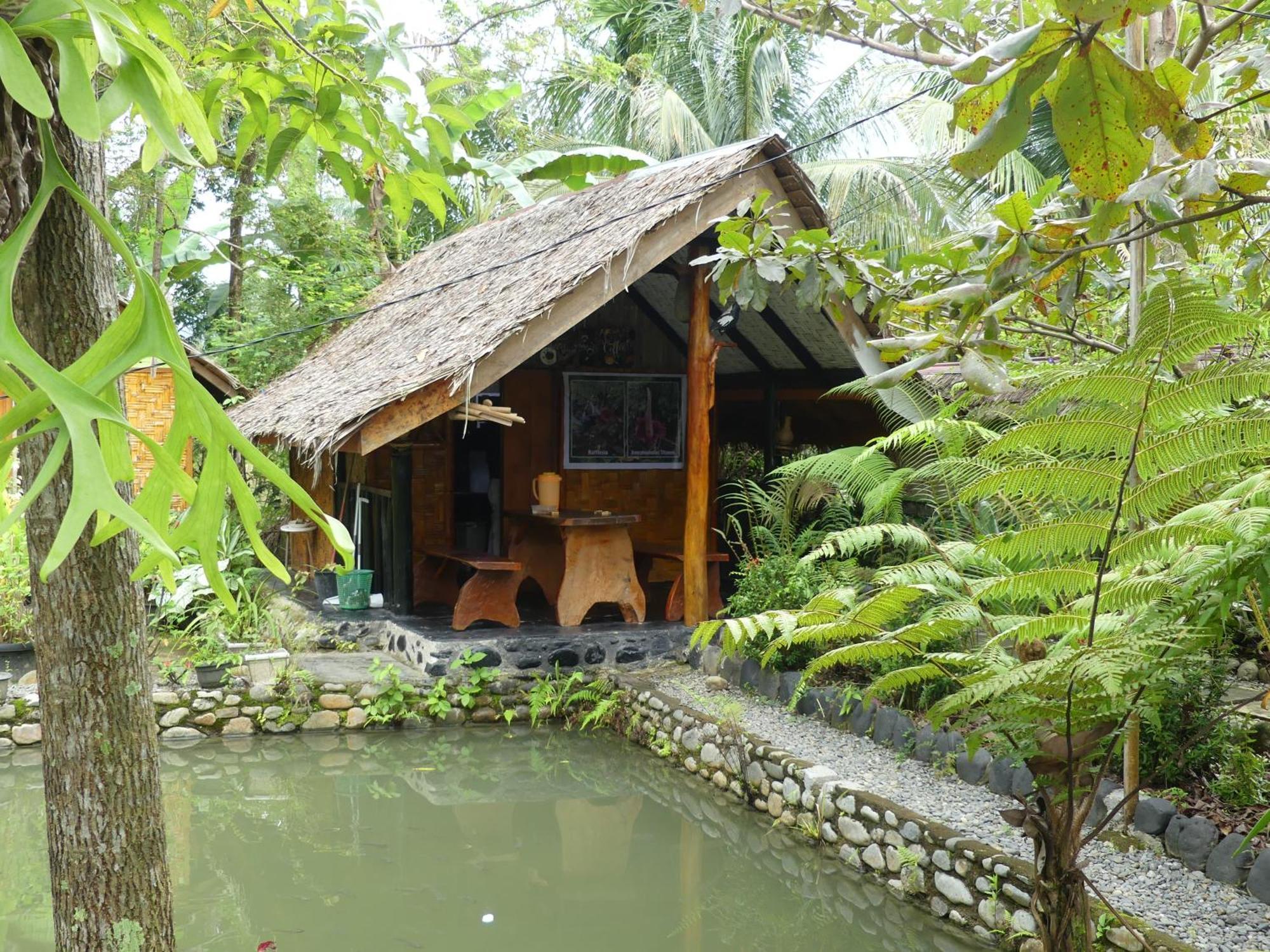 Magpie Homestay & Jungle Trekking Especially For Guest Trekking With Us Bukit Lawang Buitenkant foto